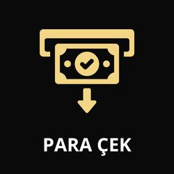 Para Çek